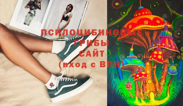тгк Инсар