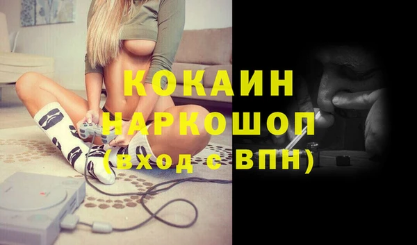 тгк Инсар