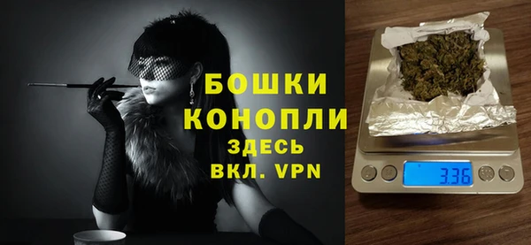 тгк Инсар