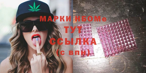 тгк Инсар