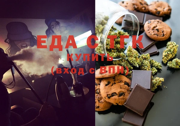 тгк Инсар