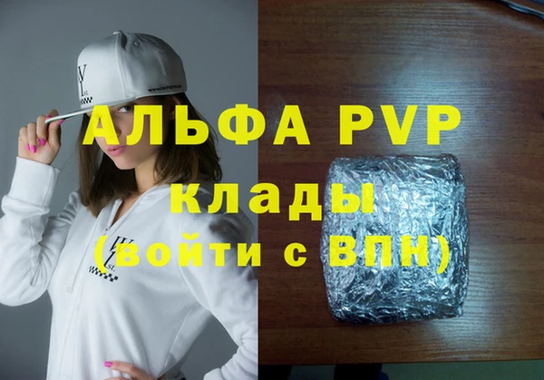 дурь Инта