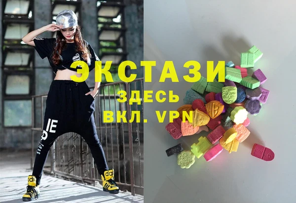 тгк Инсар