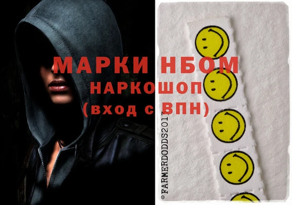 дурь Инта