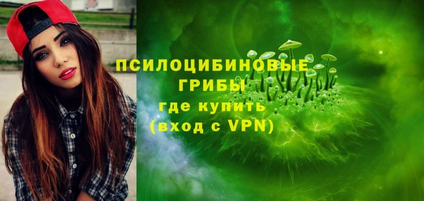тгк Инсар