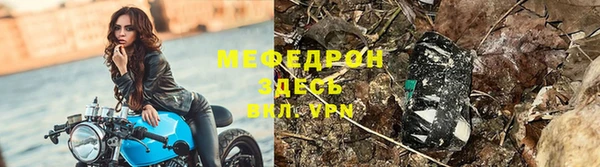 тгк Инсар
