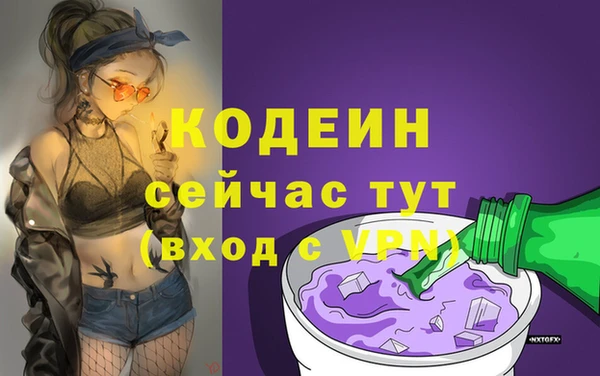 дурь Инта
