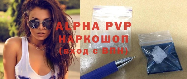 дурь Инта