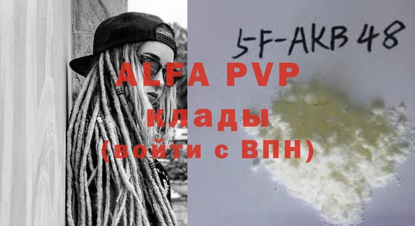 тгк Инсар