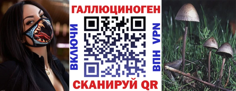Псилоцибиновые грибы прущие грибы  Купить закладки  Шахунья 